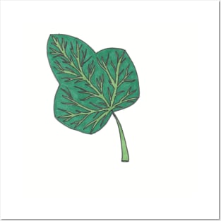 Green ivy leaf Posters and Art